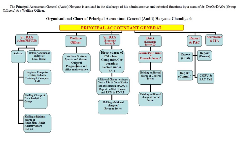Cag Organisation Chart